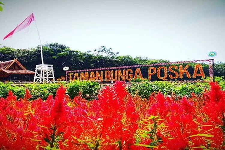 Taman Bunga Poska, salah satu destinasi wisata edukasi yang ada di Kalimantan Selatan. (Akun Instagram @taman_bunga_poska)