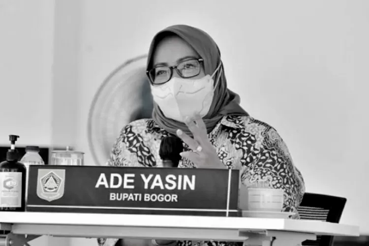 Riwayat Pendidikan dan Perjalanan Karir Ade Yasin (Foto/Instagram)