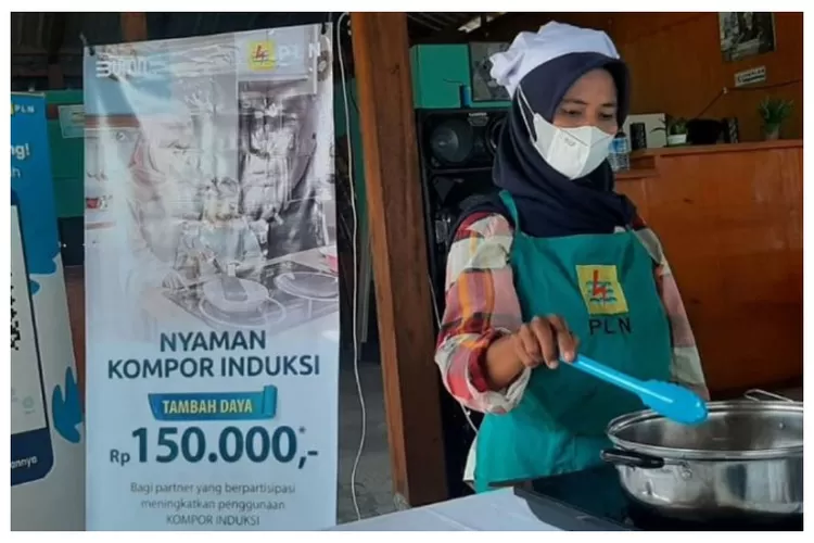 Program Konversi LPG 3 Kg Ke Kompor Listrik, Ini Penjelasan Pemerintah ...