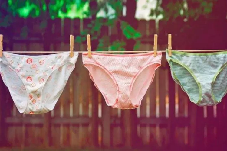 7 Merek Underwear Lokal untuk Wanita yang Bergaya Dinamis