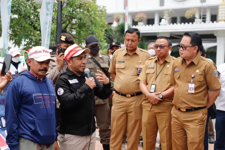 Peternak Unggas Protes, Sekdaprov Jatim: Operasi Pasar Untuk Telur Dan ...