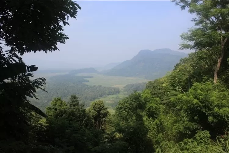 Rileks Sejenak: 5 Tempat Wisata Alam Paling Adem Dekat Jakarta