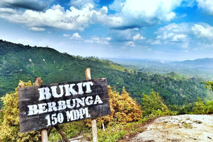 Destinasi Wisata Bukit Berbunga yang ada di Kabupaten Indragiri Hilir, Riau. (melayupedia.com)