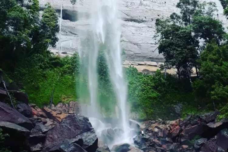 Air Terjun Batang Kapas  Salah Satu Wisata Alam Air Terjun Tertinggi di Sumatera (tangkapan layar instagram @airterjunbatangkapas)