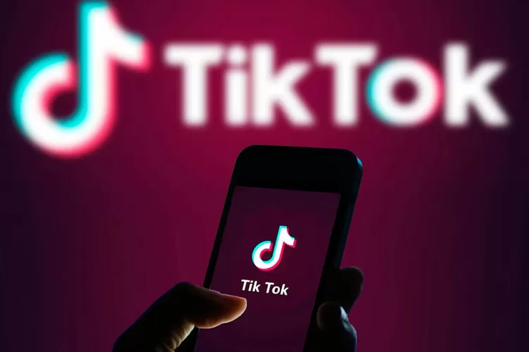 SSSTikTok, Download Video TikTok Tanpa Watermark Gratis, Sekali Klik Saja!  - Konten Jateng