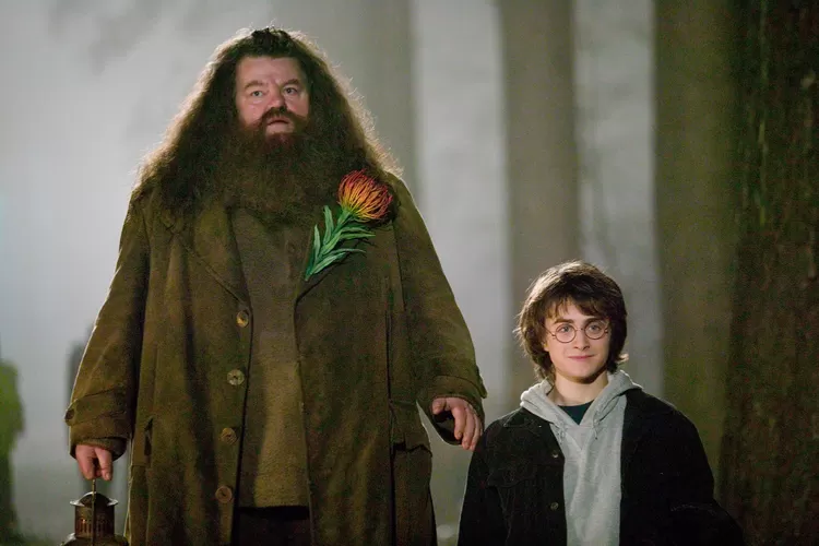 Robbie Coltrane Pemeran ‘Harry Potter’ Meninggal Dunia, Berikut ...