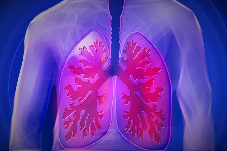 11 tanda paru-paru kamu bermasalah  (PIXABAY/kalhh)