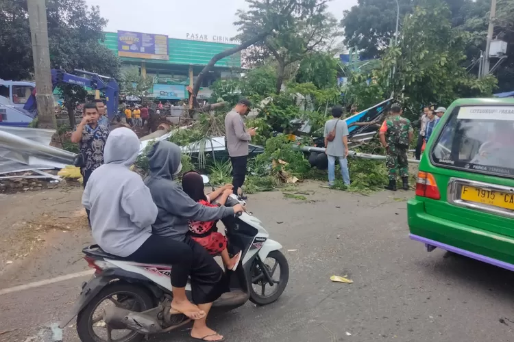 Pohon setinggi krng lebih 10 m (pohon Trembesi) dn 8 m ( pohon Palm) , tumbang di depan pasar Cibinong kabupaten Bogor pada Kamis (20/10). (Sumber foto/humas polres )