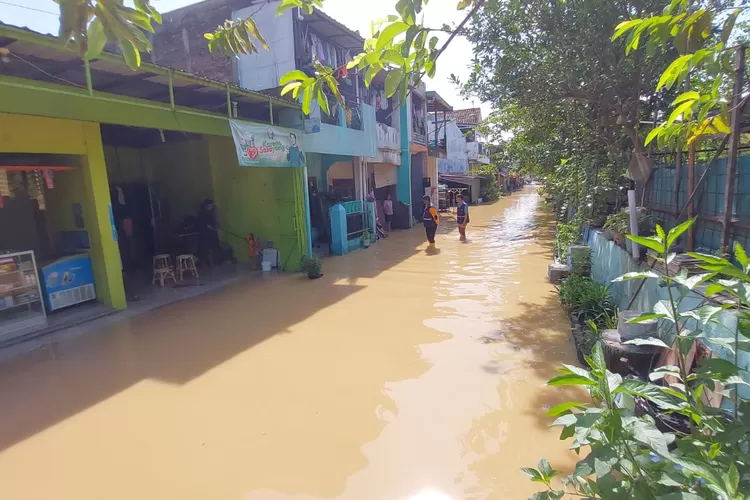 Hujan Dari Siang Hingga Malam, Puluhan Rumah Di Pucangsawit Terendam ...