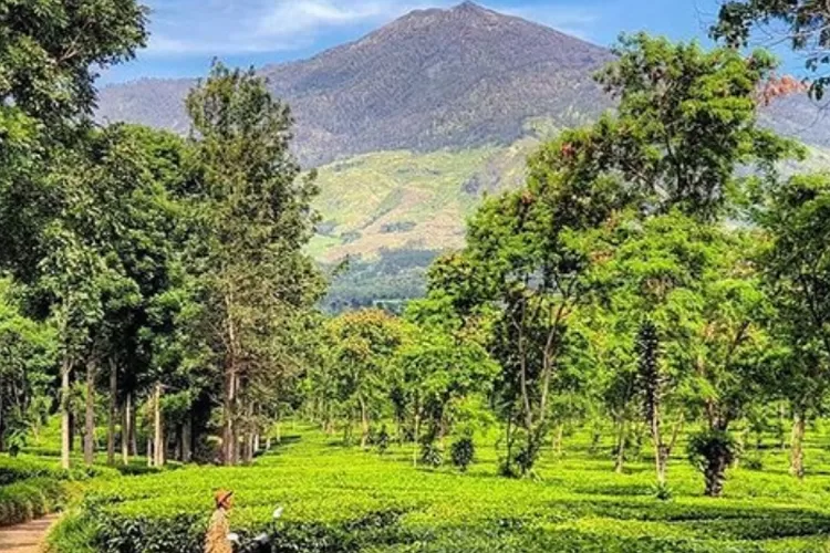 Tak Banyak Orang Tahu Berikut Tempat Wisata Alam Dekat Kota Malang