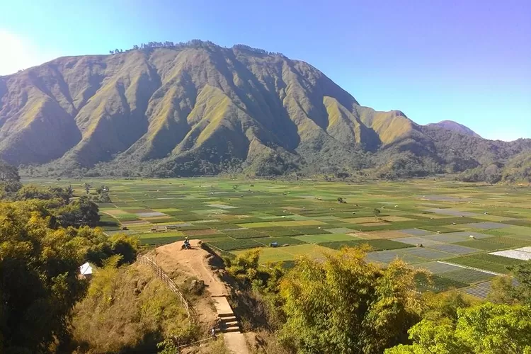 Wisata Bukit Selong: Tiket Masuk, Daya Tarik dan Desa Sejarah