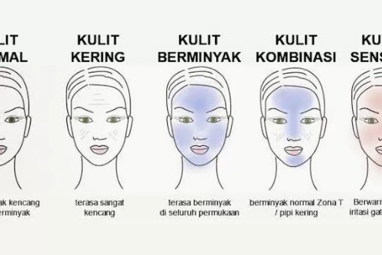 Sebelum Membeli Skincare, Yuk Kenali Tipe Jenis Kulit Wajah Kamu ...