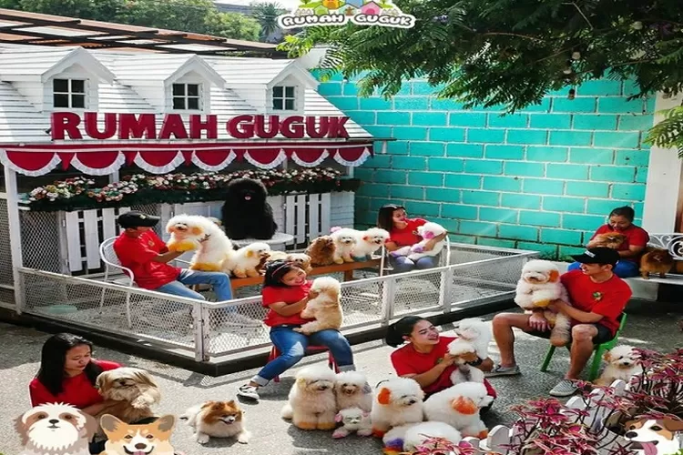 Objek Wisata Tak Biasa yang Cocok Dikunjungi Pecinta Anabul, Simak Ulasan Rumah Guguk Bandung Ini Deh! (instagram @rumahguguk dan @fyi.travel )