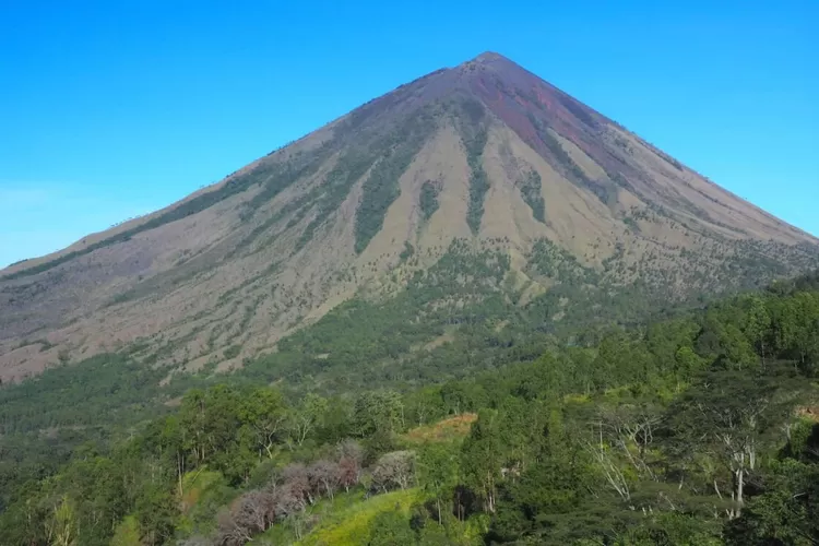 Inilah Gunung Tertinggi Di NTT, Yang Jarang Diekspos, Keren Banget ...