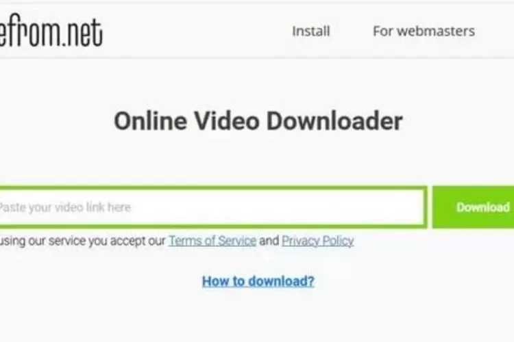 Praktis dan Mudah, Begini Cara Download Video CapCut di Savefrom.net