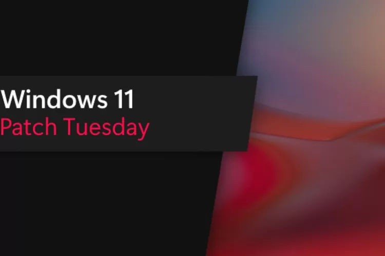 Microsoft Merilis Update Patch Tuesday Terbaru Untuk Windows 11 - Hallo ...