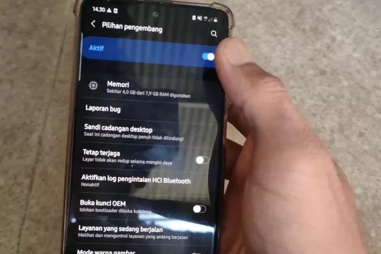 Berikut Cara Mengaktifkan Opsi Pengembang Atau Developer Di Hp Samsung ...