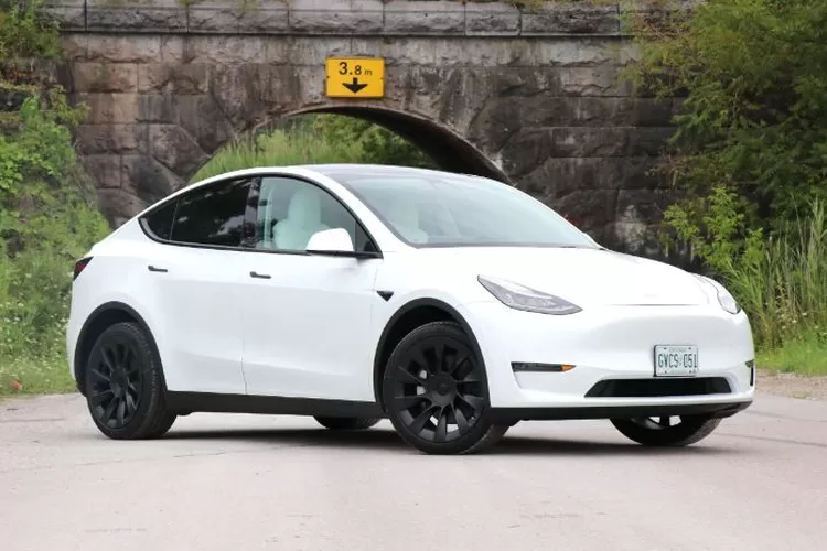 Tesla model y deals harga