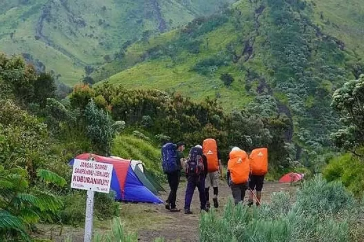 Mengenal Jalur Pendakian Cuntel Di Taman Nasional Gunung Merbabu ...