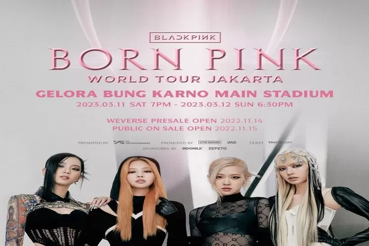 Link Beli Tiket Konser Blackpink Di Jakarta 2023 Daftar Harga Lengkap Mulai Dibuka Pada Hari 3100