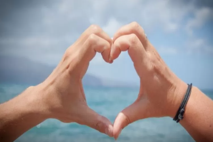 Ilustrasi peruntungan Shio Macan dan Shio Kelinci untuk besok Sabtu 1 Maret 2025 (pixabay.com)