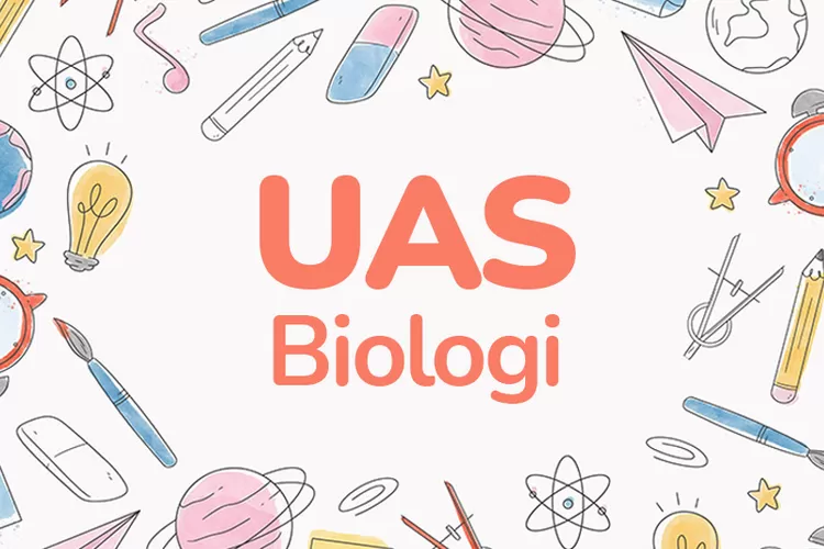 Latihan Yuk! Soal Dan Kunci Jawaban PAS Semester 1 Biologi Kelas 12 SMA ...