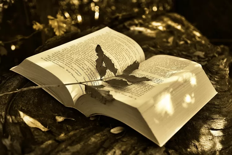 Cara healing terbaik dengan membaca buku yang tepat. Ini rekomendasinya (Pixabay)