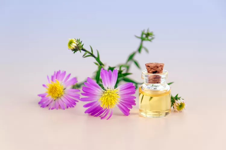 Ini 3 Rekomendasi Parfum Wanita, Dijamin Wangi Tahan Lama! (Pexels/Mareefe)