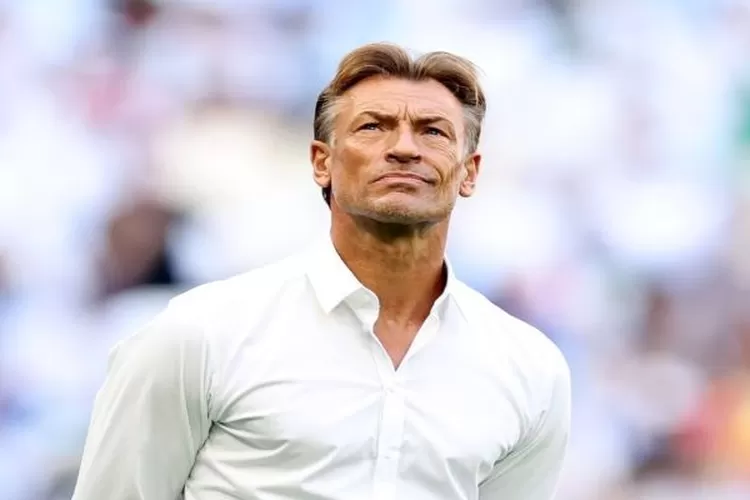 Profil Herve Renard Pelatih Timnas Arab Saudi, Mantan Petugas