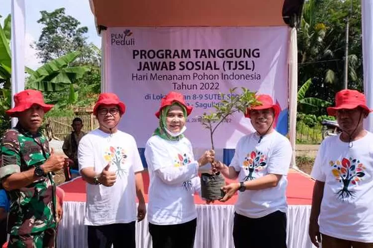 Rayakan Hari Menanam Pohon Indonesia, PLN Tanam Ribuan Pohon Lewat ...