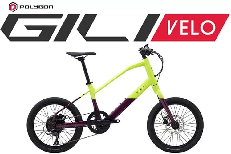 Polygon gili velo discount harga