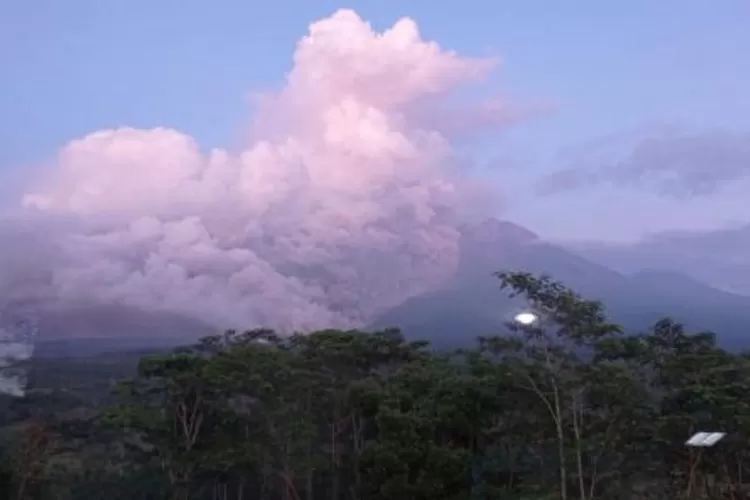 Erupsi Semeru Berikut Laporan Pantauan Bpbd Lumajang Bpbd Awan Panas