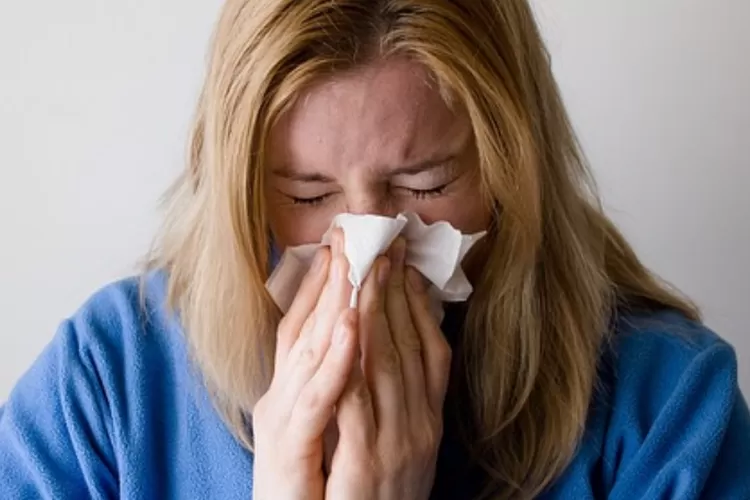 Kamu Wajib Tahu Ternyata Ada 3 Fakta Unik Tentang Flu Yang Jarang Diketahui Orang Gerbang Nalar 8742