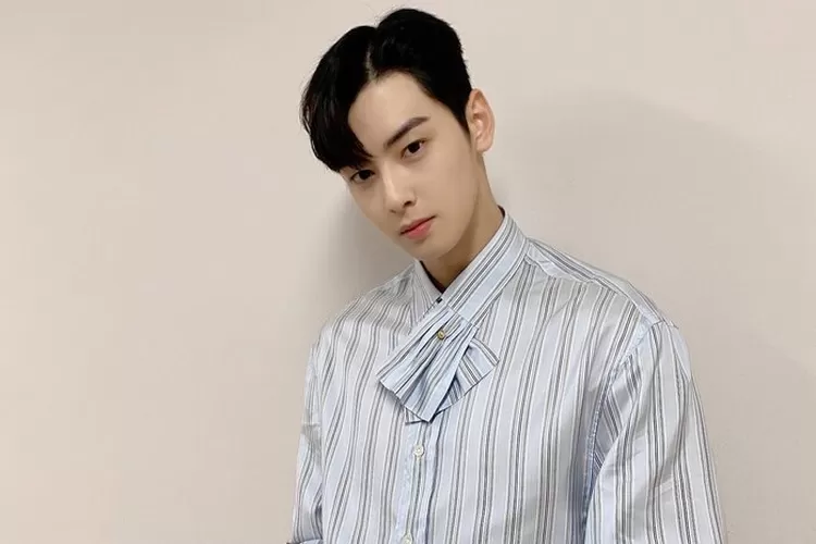 Profil Dan Biodata Cha Eun Woo Aktor Tampan Korea Selatan Yang Miliki