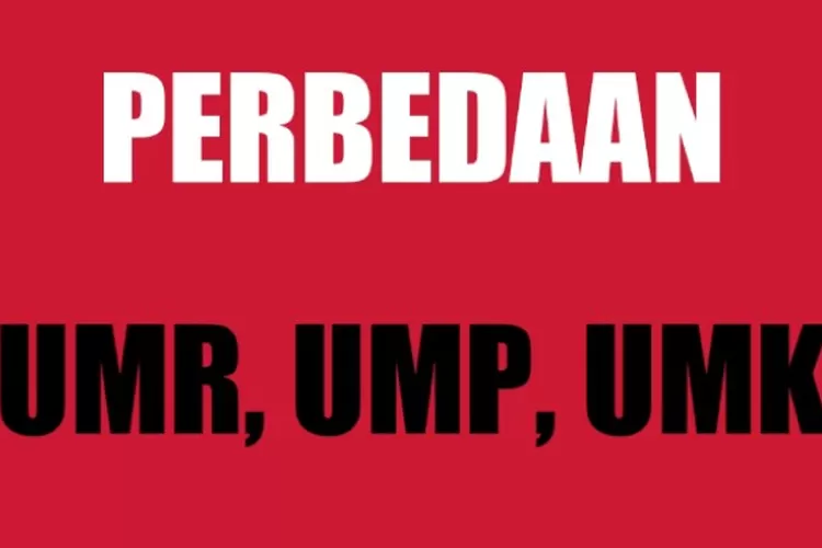 Istilah Gaji UMR Tidak Berlaku Lagi, Ini Beda UMP Dan UMK Dan Mana Upah ...