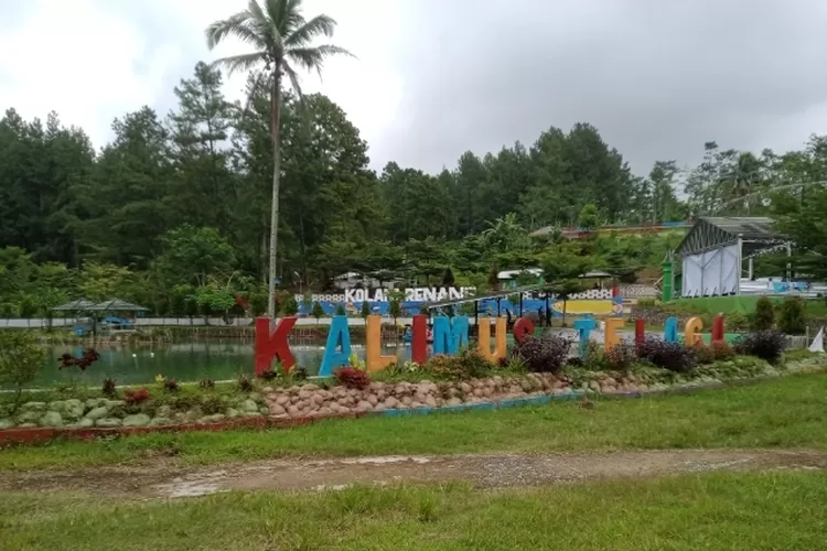 Obyek Wisata Kalimus Kalibakung, Kabupaten Tegal suguhkan pemandangan yang indah dan menarik  (Ade W/Smol.id)