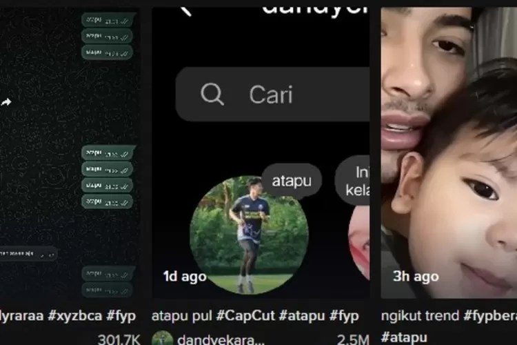 Kata Atapu Artinya Apa Trending Dan Viral Di Media Sosial Tiktok