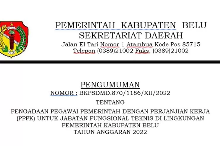 Pemkab Belu Buka Seleksi PPPK Tenaga Teknis 2022, Cek Syarat ...