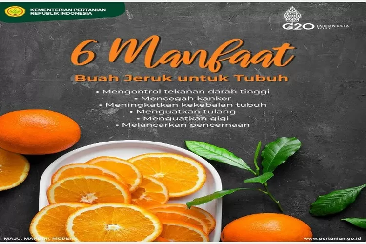 6 Manfaat Buah Jeruk Untuk Kesehatan, Bisa Mengontrol Tekanan Darah ...