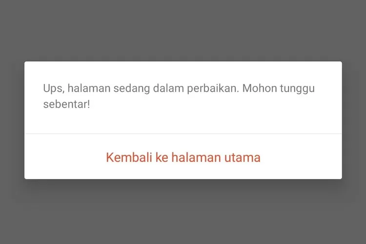 Cara Mengatasi Shopee Error Dalam Perbaikan Atau Kembali Ke Halaman Utama Ayo Jakarta