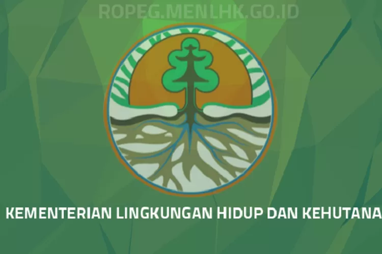 Syarat Pendaftaran PPPK 2022-2023 Di Kementerian Lingkungan Hidup Dan ...