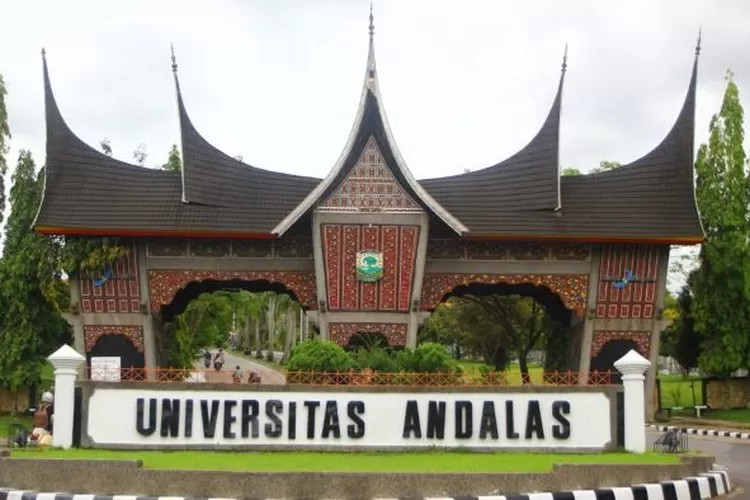 Rata-Rata Nilai Agar Bisa Lolos UTBK SNBT 2023 Di Universitas Andalas ...