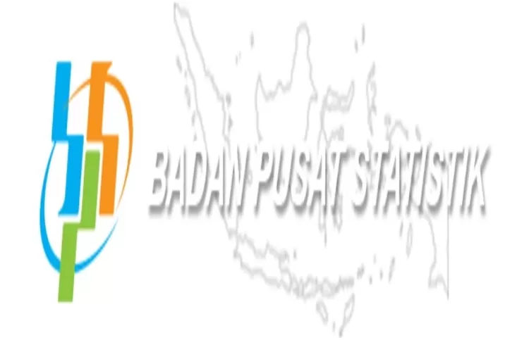 Badan Pusat Statistik (BPS) Sedang Buka Loker Posisi Data Entry ...