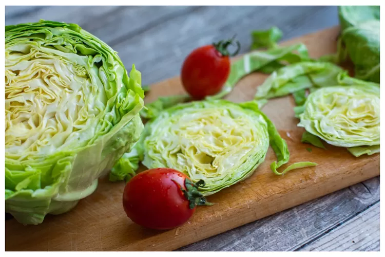 Tts Sayur Sayur Apa Yang Dingin Kocak Banget Berikut Jawaban Tebak Tebakan Atau Teka Teki Tts 0004