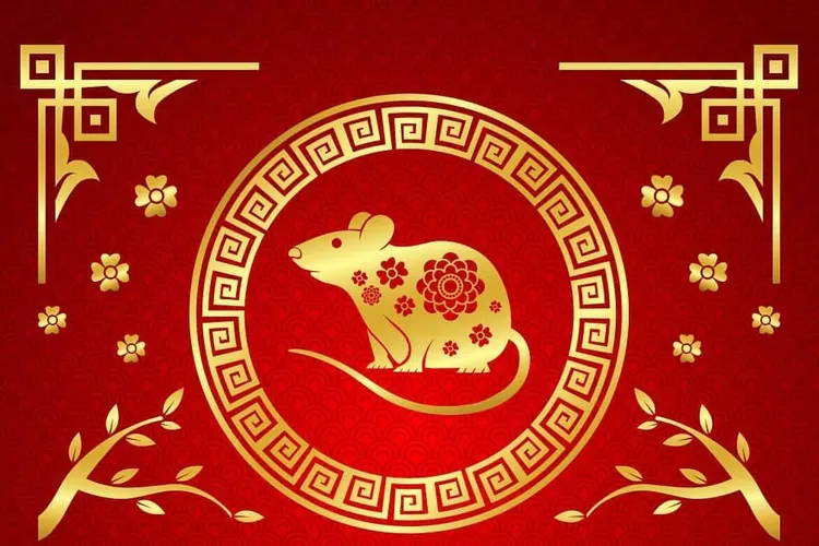 Ramalan Shio Tikus Bulan Januari 2023: Keberuntungan Bisa Datang dari  Hobimu! - Victory News