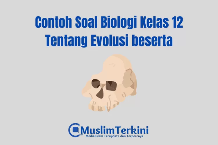 Kumpulan Contoh Soal Biologi Kelas 12 Tentang Evolusi Beserta ...