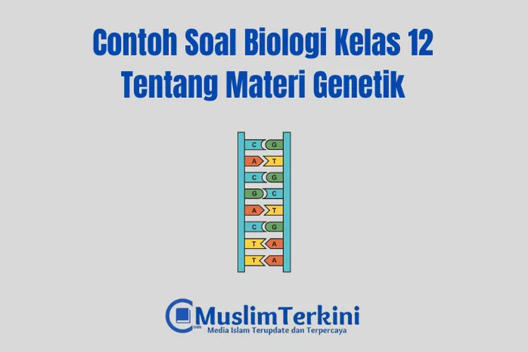 Kumpulan Contoh Soal Biologi Kelas 12 Tentang Materi Genetik Beserta ...