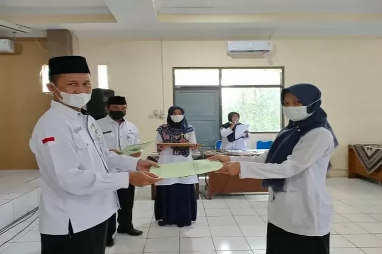 5 Kriteria Penting HONORER Diangkat Jadi PNS Tanpa Tes, Salah Satu ...