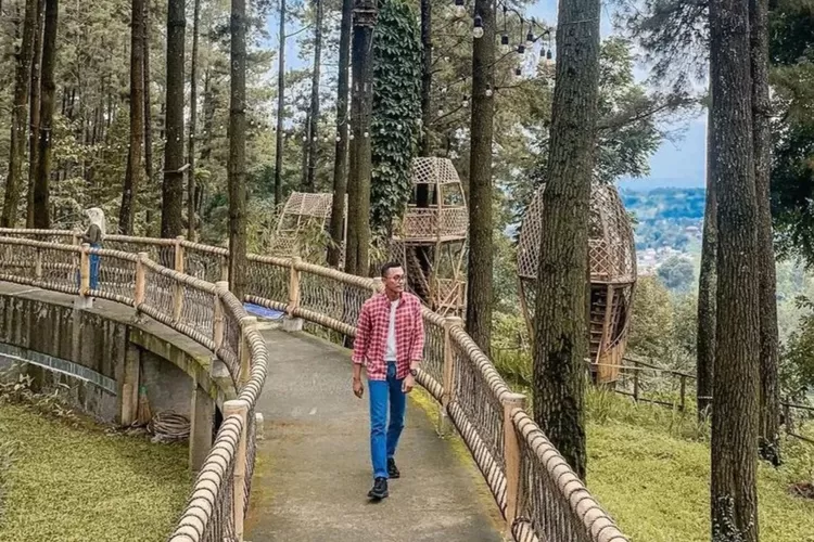 Wisata kekinian di Mojokerto, Tanaria Park Trawas dengan view hutan pinus yang sejuk bikin betah (Instagram @tanaria)