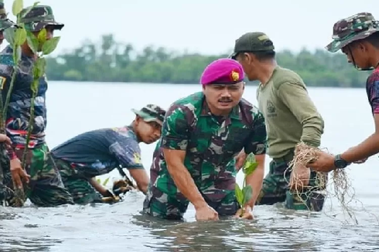 Masih Dibuka Pendaftaran Bintara TNI AL 2023 Untuk SMA SMK, Simak ...